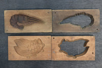 Living shrimp and turtle lid candy type DB8131ab stock (a:1 b:1) pieces