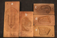 a candy type DB6844a-e inventory (a: 1 b: 1 c: 1 e: 1 e: 1) with a lid with a lid on the ocean's biometrium