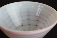 Ice Cup Z-3 stock 2 pieces