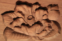 繊細な花模様を1つ描いた風情ある四角の菓子型 DB3107a-m 在庫4個