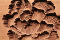 繊細な花模様を1つ描いた風情ある四角の菓子型 DB3107a-m 在庫4個