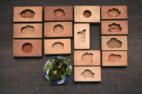 花木や家屋などの模様を1つ描いた情緒ある四角の菓子型 DB3108a-n 在庫8個