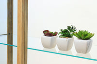 ディスプレイに最適な開放感ある4面ガラスケース BB1435