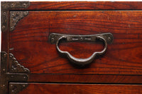 稀少!!唐獅子金具の古色を纏う仙台衣裳箪笥 Ba9316-MT