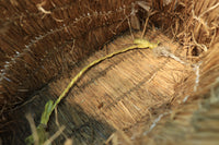 Antique Tools DB9882b