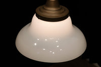 ゆったりと愛嬌あるシンプルな大型電笠 DC1180