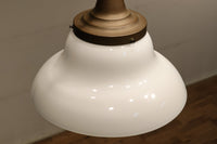 ゆったりと愛嬌あるシンプルな大型電笠 DC1180