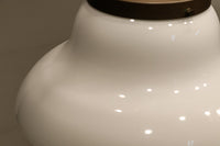 ゆったりと愛嬌あるシンプルな大型電笠 DC1180