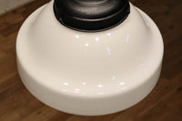 大型サイズ!! 美しいシルエットをした魅力的な電笠 DC1747