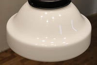 大型サイズ!! 美しいシルエットをした魅力的な電笠 DC1747