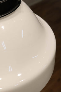 大型サイズ!! 美しいシルエットをした魅力的な電笠 DC1747