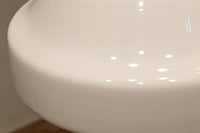 大型サイズ!! 美しいシルエットをした魅力的な電笠 DC1747