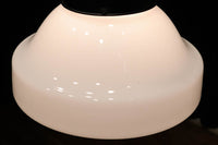 大型サイズ!! 美しいシルエットをした魅力的な電笠 DC1747