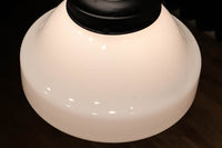 大型サイズ!! 美しいシルエットをした魅力的な電笠 DC1747