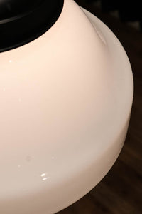 大型サイズ!! 美しいシルエットをした魅力的な電笠 DC1747