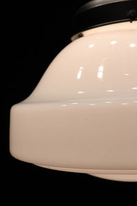 大型サイズ!! 美しいシルエットをした魅力的な電笠 DC1747