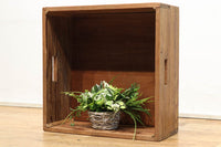 大らかな流れの杢目が魅力的な正方形の木箱 DC2018