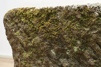 Antique Tools DC2331