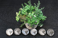 Antique Tools DC3365