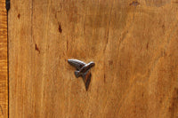 時代を経た味わいが風情溢れる上質な飾り棚　BB3103