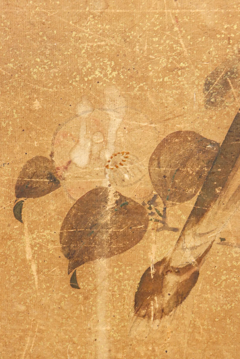 歴史ある味わい深いふすま絵の飛騨地方茶箪笥　BB3116