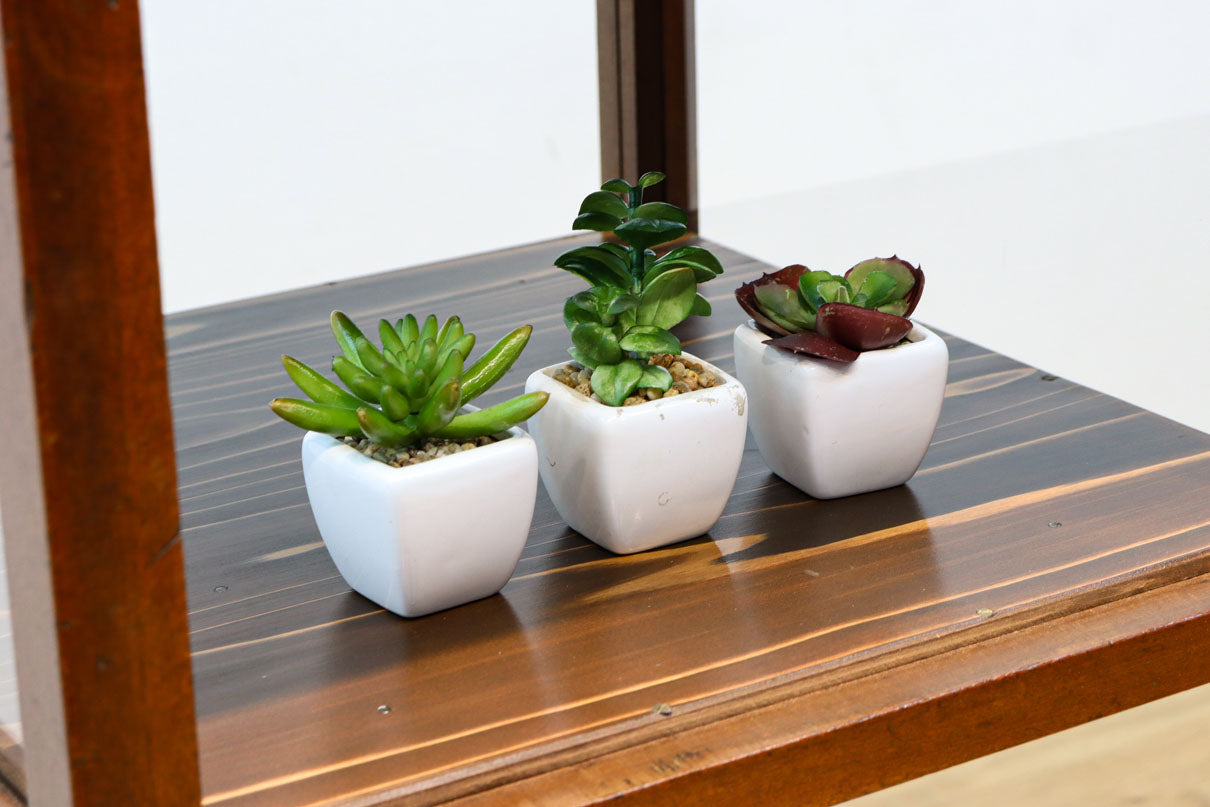 収納部分が3段に分割された使い易い脚高デザインのガラスケース　BB3180