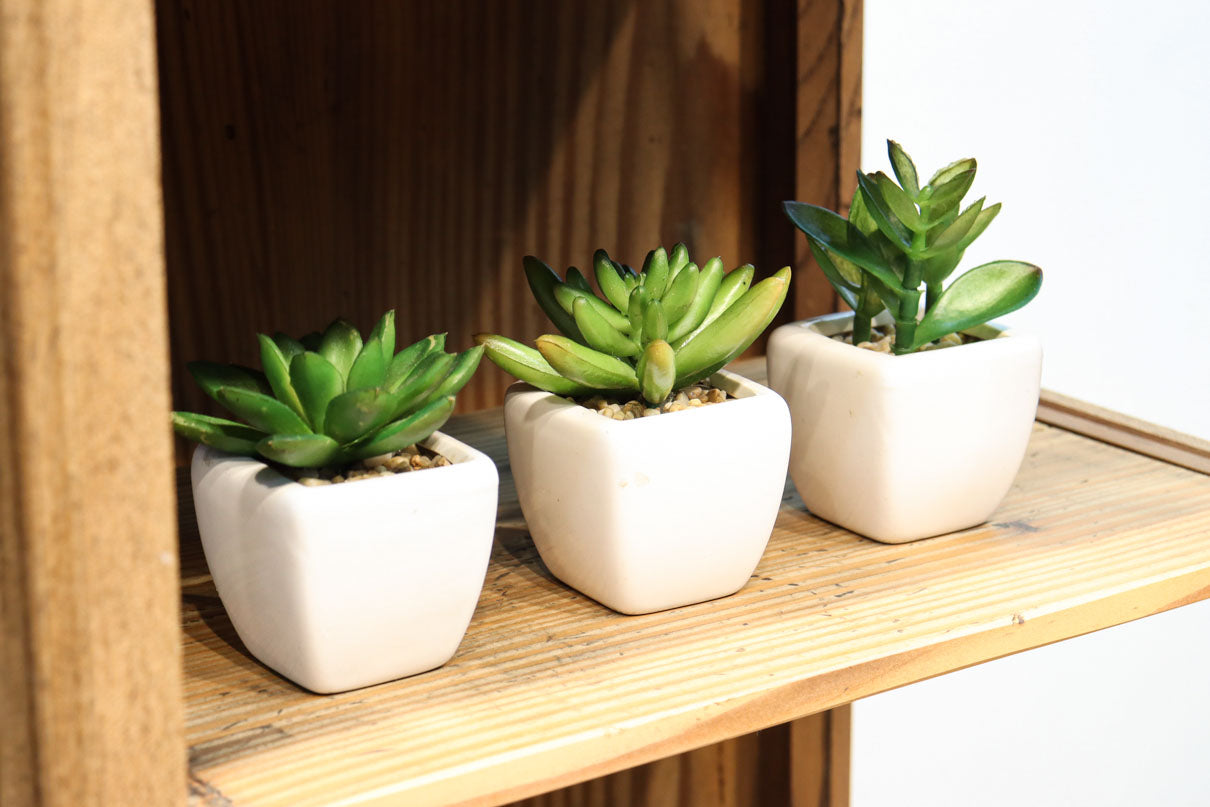 Three-sided glass case BB3294