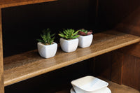 稀少幅1570ミリ!!レトロガラスの優しい風合いが味わい深いガラスケース　BB3301