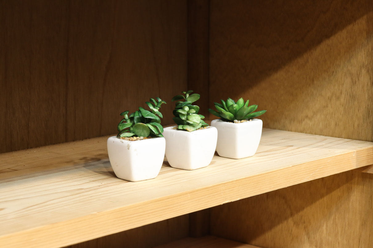 幅1222ミリ‼︎木地色の美しい風合いをした上質なレトロガラスケース　BB3336