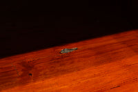Small size Merchant Chest BB3455