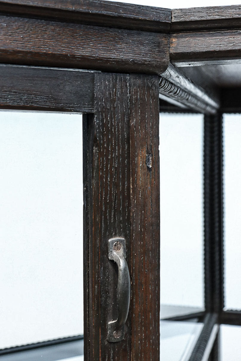 Glass case BB3652