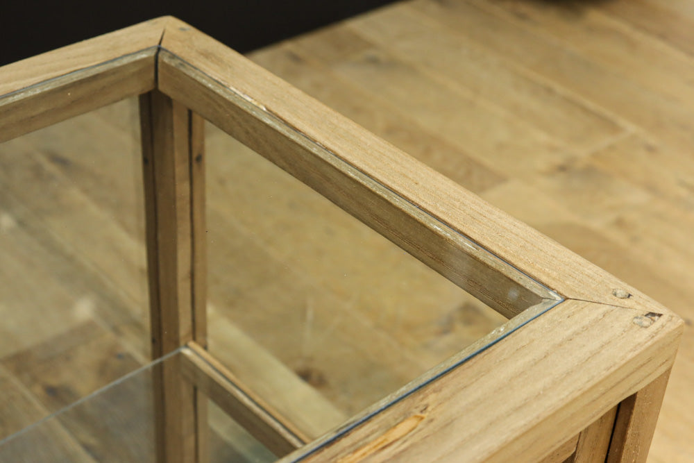 Glass case BB3698