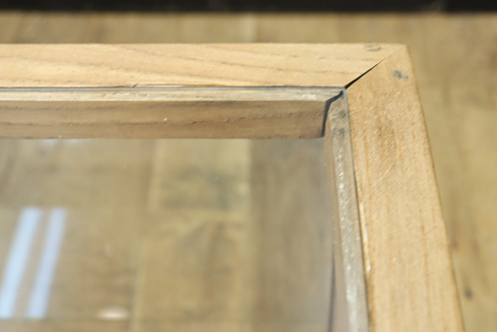 Glass case BB3698