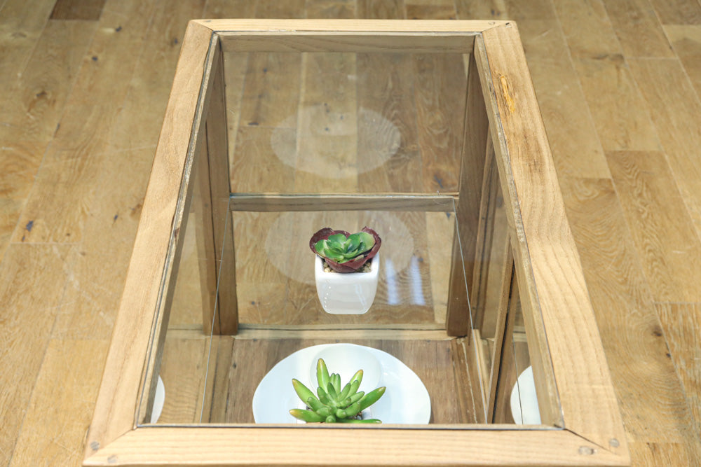 Glass case BB3698