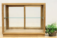 Glass case BB3698