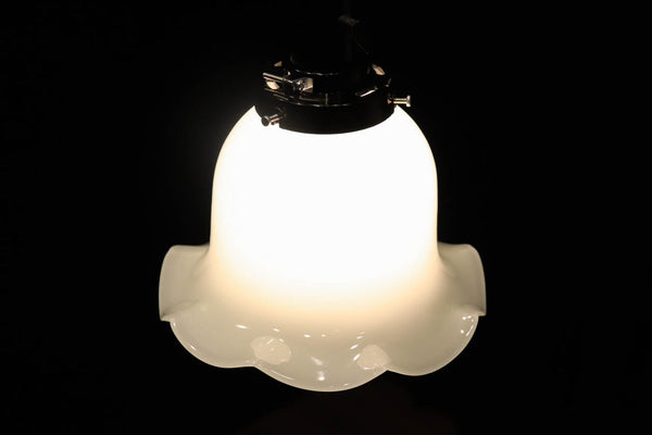 Antique Lamp Shades DC3916