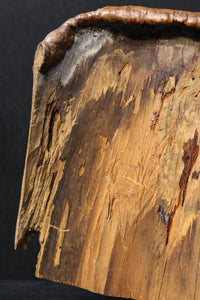 造形美を愉しむ木皮の置き物　DC4670
