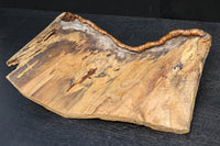 造形美を愉しむ木皮の置き物　DC4670