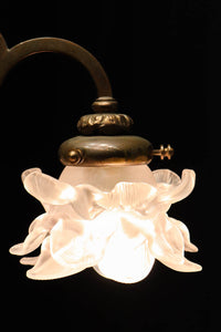 Chandelier DC5689