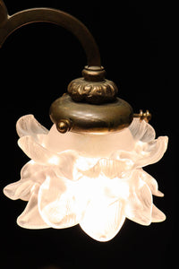 Chandelier DC5689