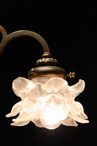 Chandelier DC5689