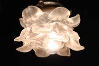 Chandelier DC5689