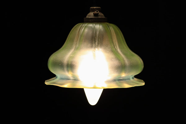 Lamp shade DC6711