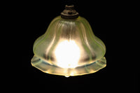 Lamp shade DC6711