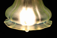 Lamp shade DC6711