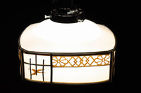 Lamp Shades DC6747