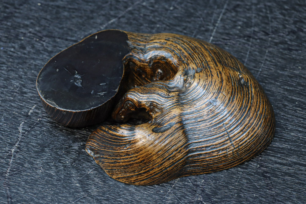 自然の雰囲気を活かした切り株の置台　DC7604