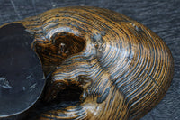 自然の雰囲気を活かした切り株の置台　DC7604