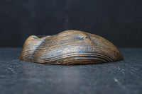 自然の雰囲気を活かした切り株の置台　DC7604