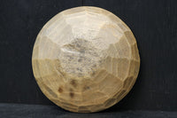 時代を重ねた面持ちあるまゆ皿　DC7758